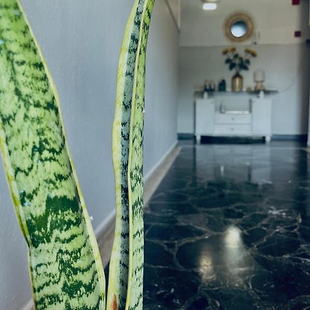 Aktaion Hotel Skala Alykis المظهر الخارجي الصورة