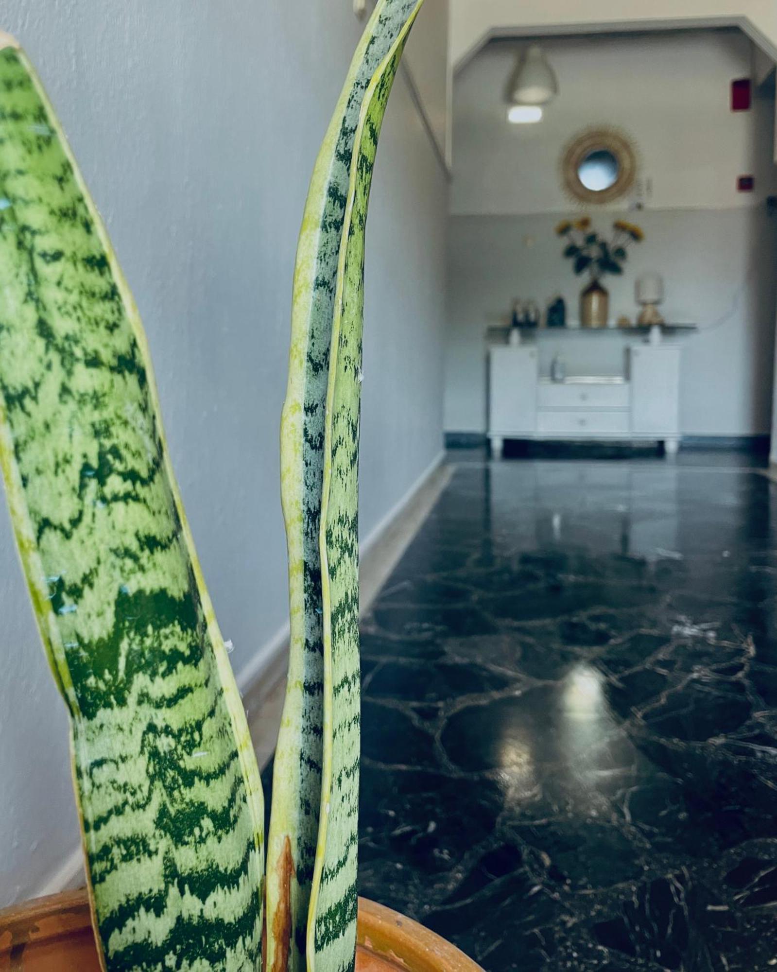 Aktaion Hotel Skala Alykis المظهر الخارجي الصورة