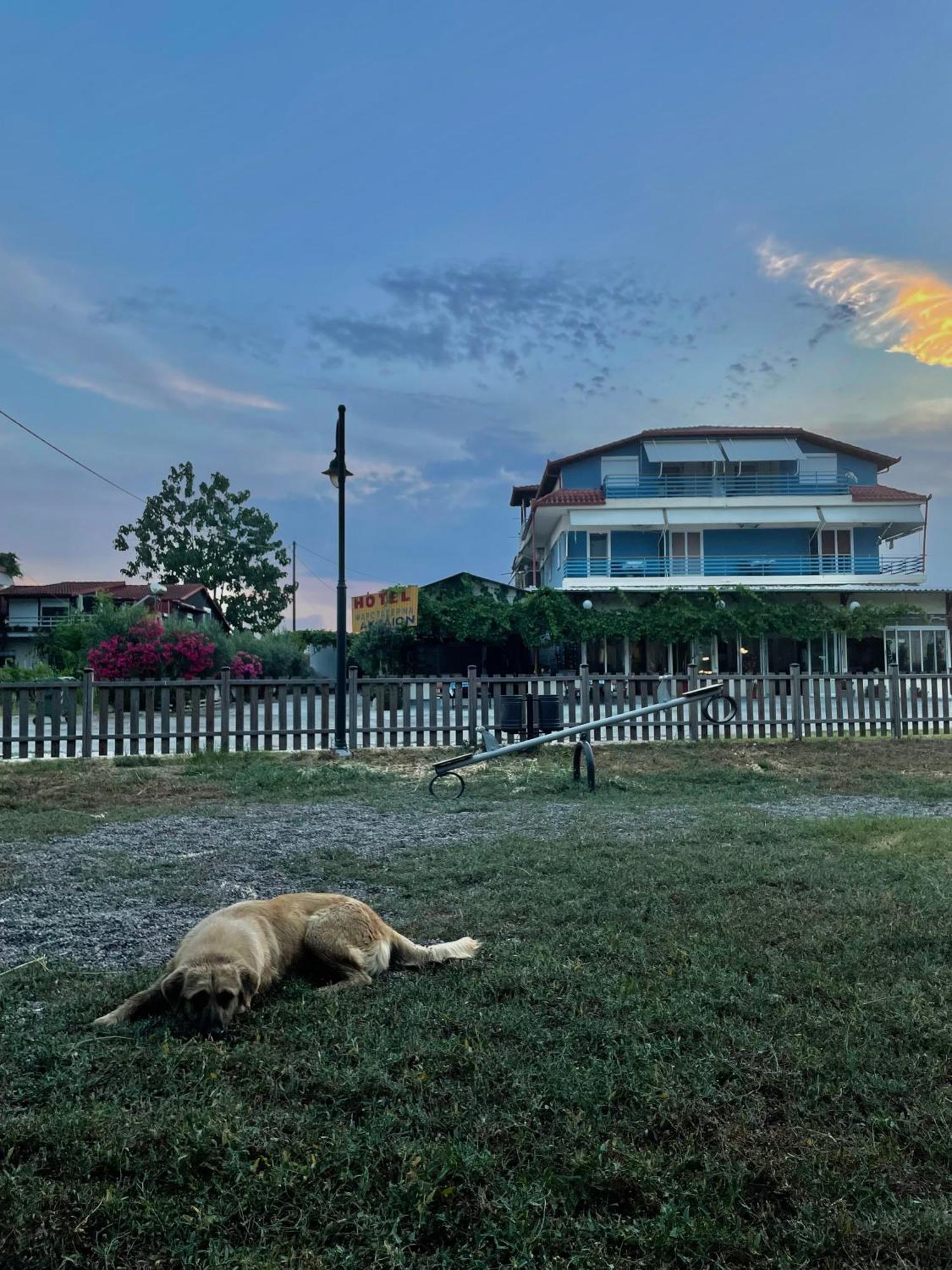Aktaion Hotel Skala Alykis المظهر الخارجي الصورة
