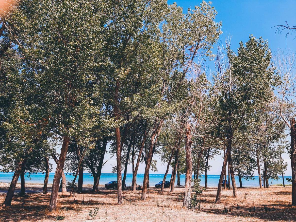 Aktaion Hotel Skala Alykis المظهر الخارجي الصورة