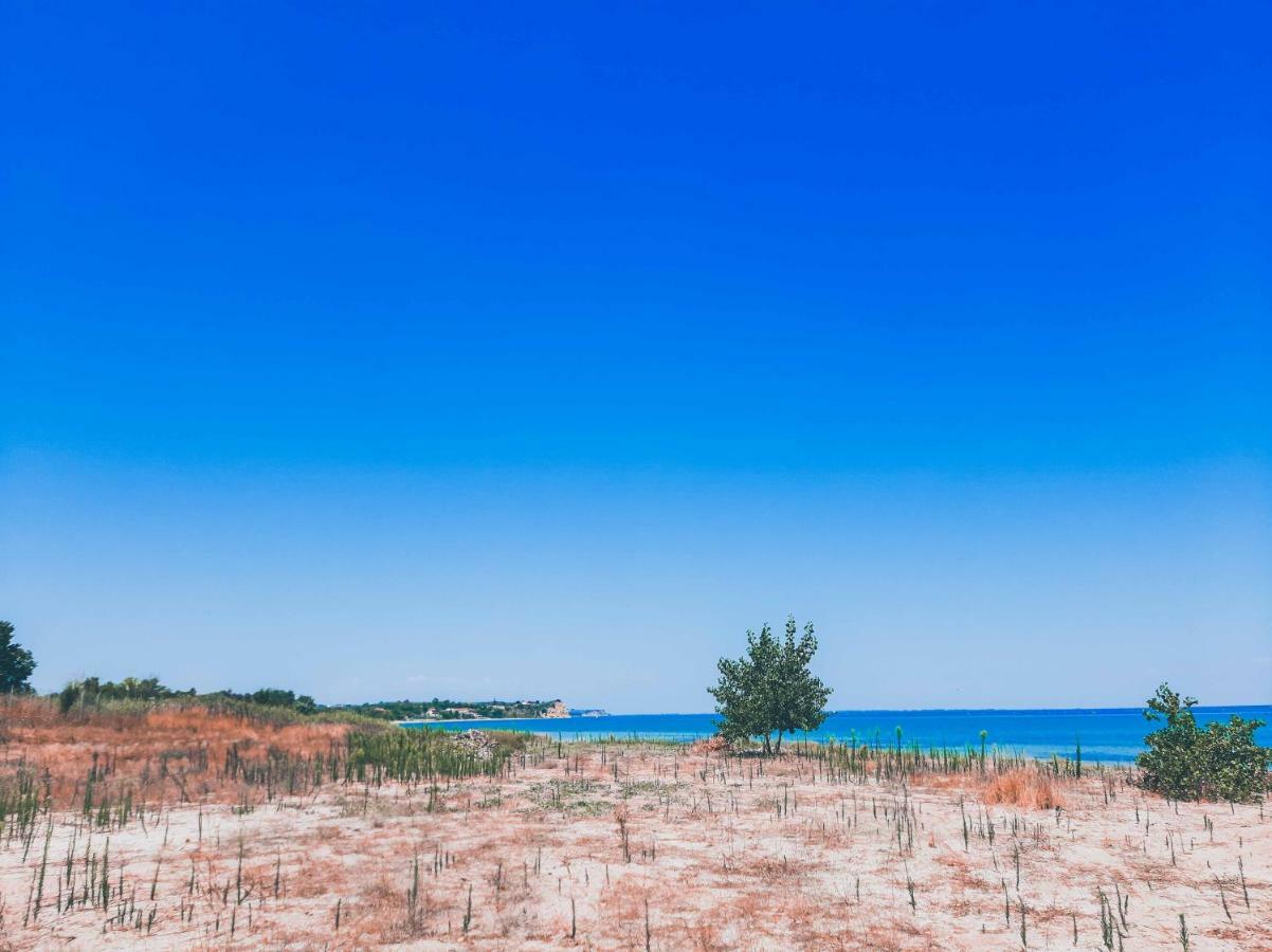 Aktaion Hotel Skala Alykis المظهر الخارجي الصورة